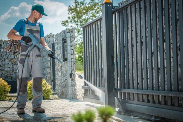 Best Roof Cleaning and Mildew Removal in Vero Lake Estates, FL